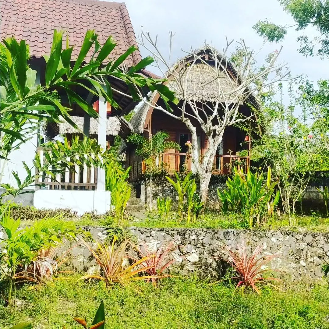 A thatched-roof cottage and a timber building behind a garden wall of stone and red-leaf plants