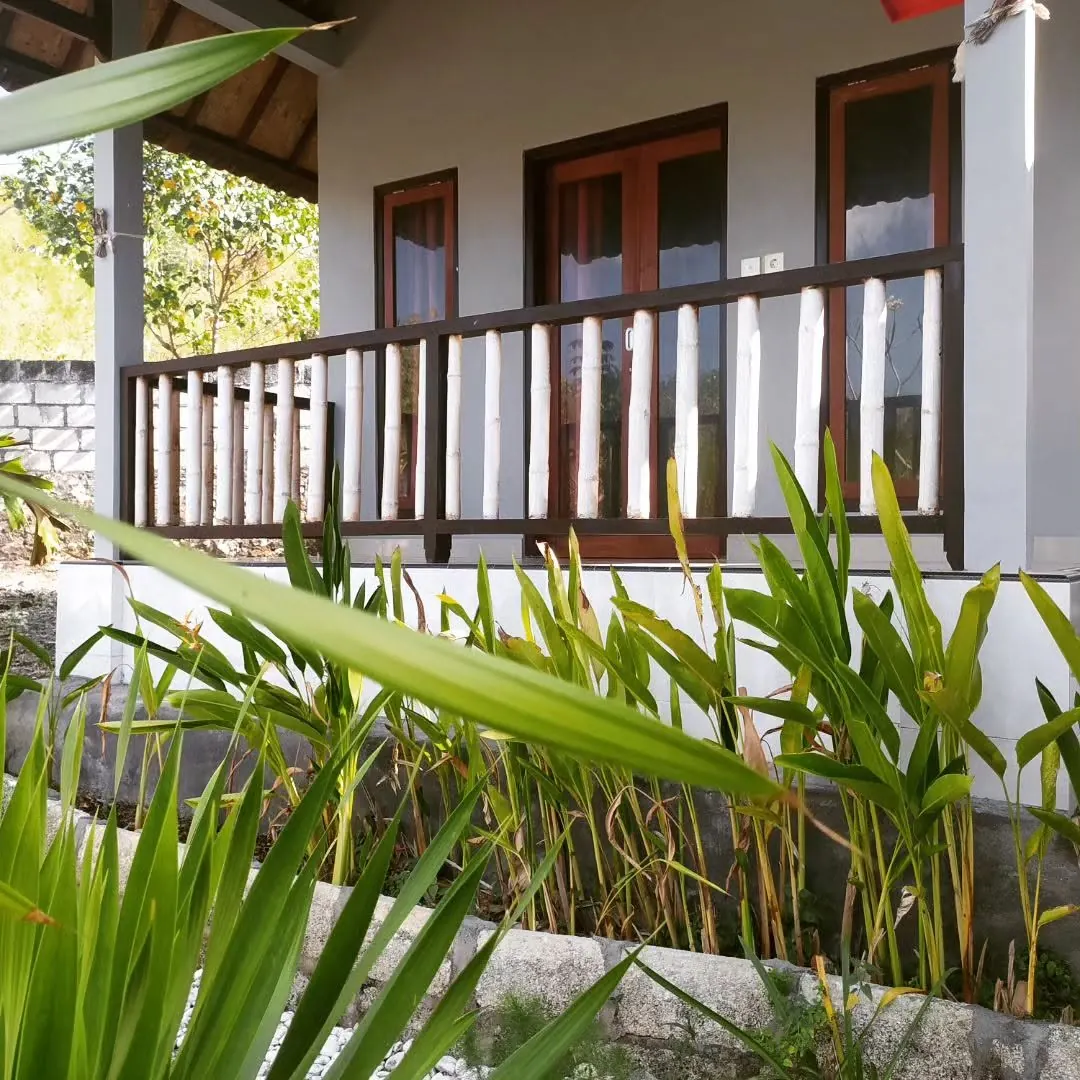Building with a long timber veranda railing behind tall garden plants